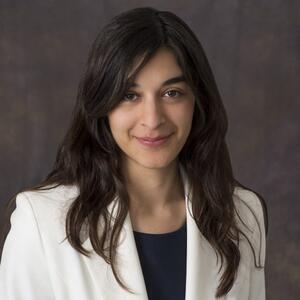 Head and shoulders photo of Dr. Asli Sari  