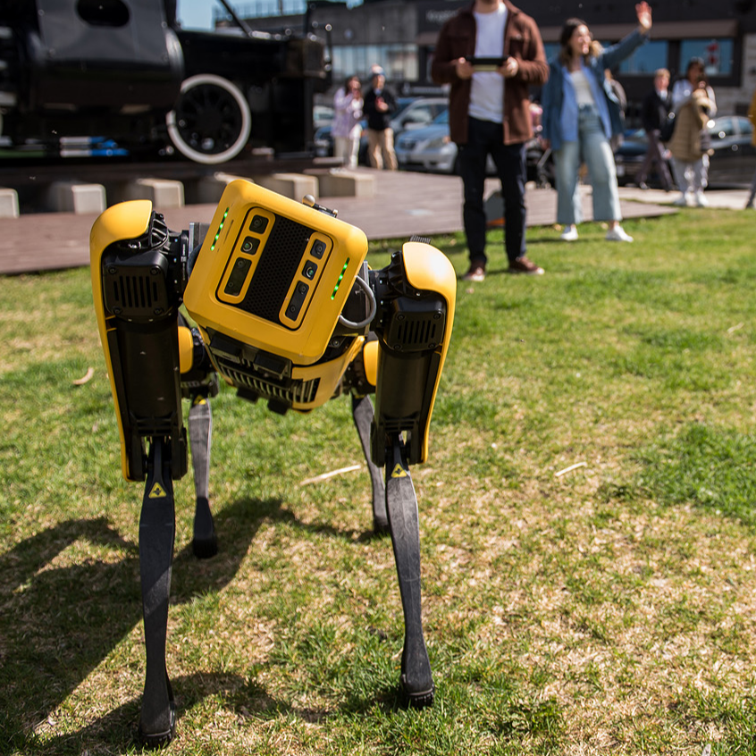 Robot dog standing in a park